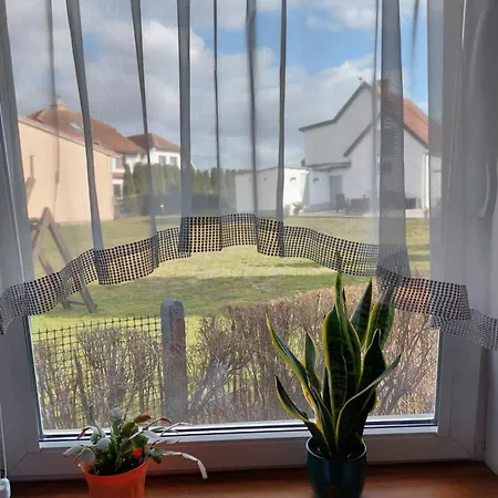 But * Pasłęk
